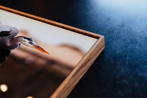 Fine Art & Photo Printing